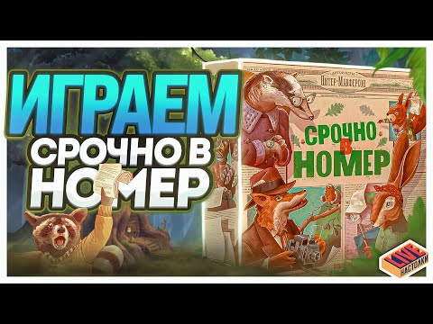 Видео: Играем в настольную игру Срочно в Номер
