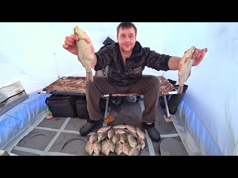 Видео: ЛЕСКА ЗВЕНИТ от таких КАРАСЕЙ!Ловля карася зимой. Уелги 2022