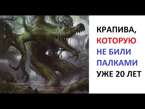 Видео: Лютые приколы. Недобитая крапива пришла за тобой