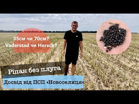 Видео: Ріпак без плуга. Досвід ПСП "Новоселиця".