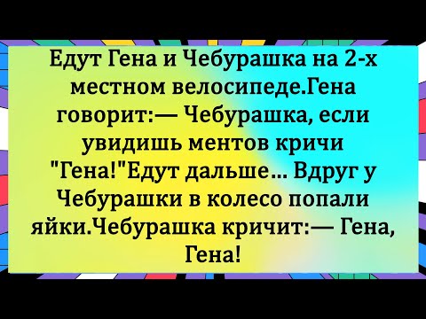 Видео: Как Гена и Чебурашка от ментов удирали... Анекдоты шутки #смех #юмор #чебурашка #гена
