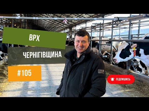 Видео: #105 ФЕРМА 🐄 Корови. Прив'язне утримання худоби.