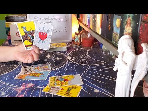 Видео: ЛЕВ ♌ Они знают, что неправы!! (27 окт. - 2 нояб.)