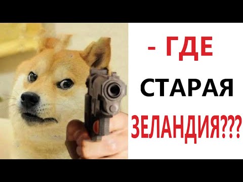 Видео: Приколы! ГДЕ СТАРАЯ ЗЕЛАНДИЯ - МЕМЫ!!! Смешные видео от – Доми шоу!