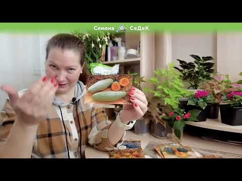 Видео: Выбираем тыквы для посадки с помощью эксперта.