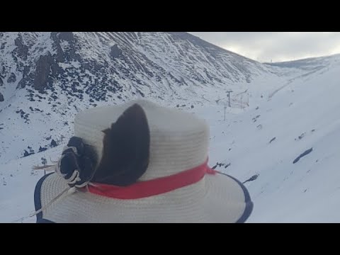 Видео: Горец #стрим