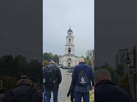 Видео: День вина, все проблемы решены, осталась лимба 4.10.25