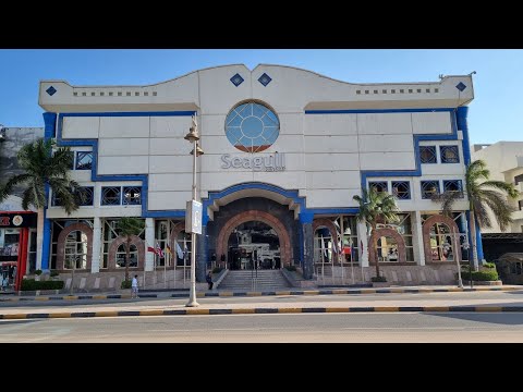 Видео: Отдых в отеле Seagull Beach Resort Hurghada в январе 2024 г. Большой обзор отеля.