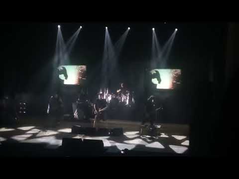 Видео: северный флот, Король и Шут, Ростов-на-дону полный концерт (юбилейный) 15 апреля 2024 год