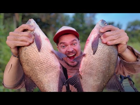 Видео: РОЗГИНАЄ ГАЧКИ, РВЕ ПОВІДКИ - на фідер клюють монстри!