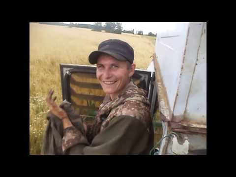 Видео: Небывалый урожай! Первые дни уборки с новым комбайном Енисей 1200