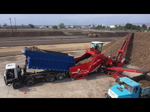 Видео: «Кубанский аграрный клуб». Сахарный завод