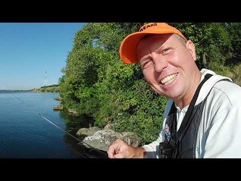 Видео: Карась на флет. Рыбалка на реке.