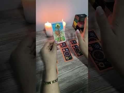 Видео: ИШИНГИЗДА УСИШ БУЛАДИМИ ⁉️💸 #tarot 