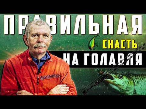 Видео: Мнение Константина Кузьмина | Какой Должна Быть Снасть на Голавля?