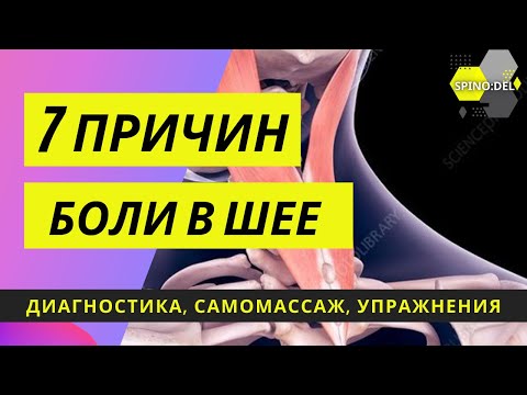 Видео: Болит шея? Самая главная мышца. Почему не работает. Упражнения