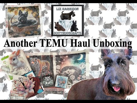 Видео: Алмазная живопись | РАСПАКОВКА | TEMU | Большой перегон | Милые мини-полки | #temu #temuhaul