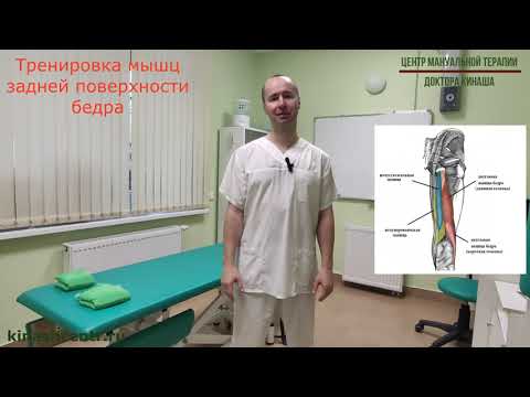 Видео: Тренировка мышц задней поверхности бедра.