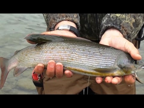 Видео: Сплав по Вишере.