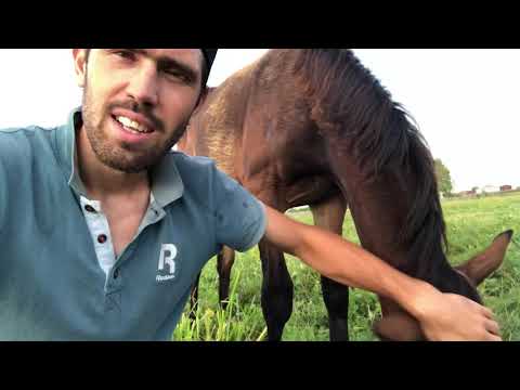 Видео: Я конечно не MORGENSHTERN,но жизнь у меня тоже интересная 🌿🌾