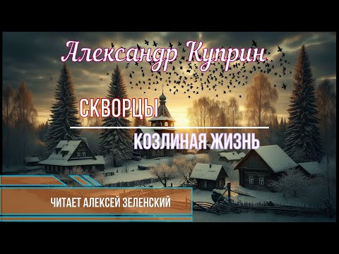 Видео: Александр Куприн  "Скворцы",  "Козлиная жизнь"   читает Алексей Зеленский
