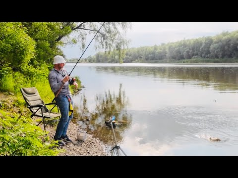 Видео: Риболовля на Десні 🎣.Вечірній фідер у мінливу погоду 🌧️🐟 у лящовому місці.Червень 2025.