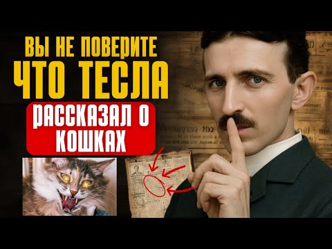 Видео: Секретная миссия кошек, о которой Тесла знал, но которой ему было запрещено раскрывать