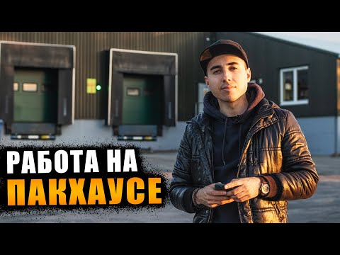 Видео: ПАКХАУС. Процесс работы в упаковочном цеху на клубничной ферме в Шотландии. Allanhill Farm.
