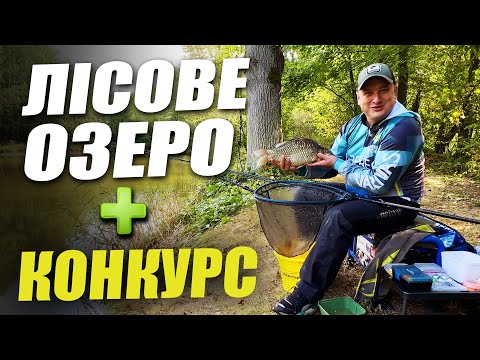 Видео: Лісне озеро + Конкурс #daiwa