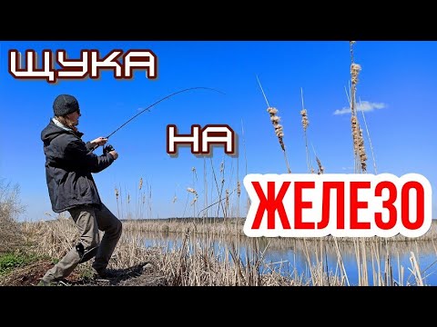 Видео: Щука в пол воды! Когда колебалки №1. Ловля щуки после нереста.