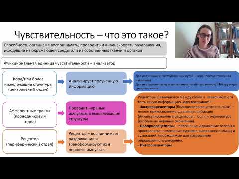 Видео: Восходящие чувствительные пути.