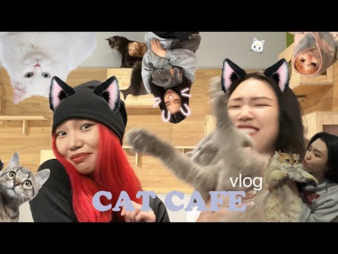 Видео: Мууранд майжуулсан шигээ л 🥲🐱🐈🐈‍⬛ (Ft. Riona)