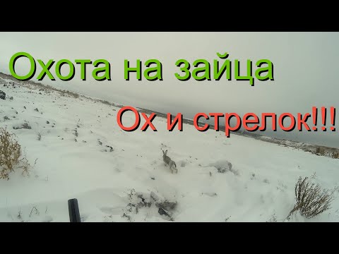 Видео: Охота на зайца.  Ох и стрелок!!!