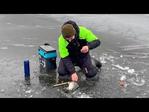 Видео: Карасі монстри крадуть вудочки