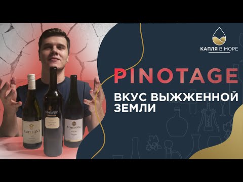 Видео: Дешевый Пинотаж VS дорогой! Зачем платить больше?