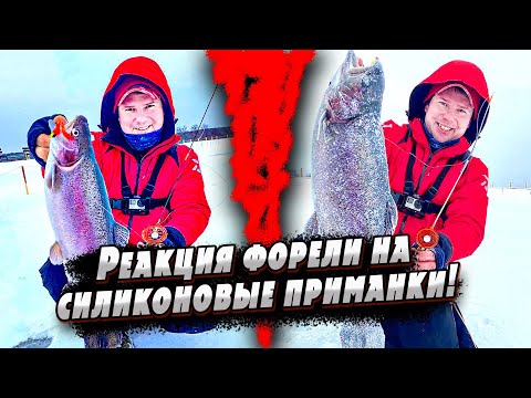 Видео: Рыбалка с подводной камерой | Тестирование новых удочек | Ловля на силиконовые приманки
