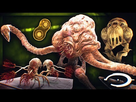 Видео: ОБЪЯСНЕНИЕ КАЖДОЙ ФОРМЫ ПОТОКА В HALO