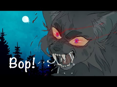Видео: ТИПЫ КВШНИКОВ | Мы токсики?
