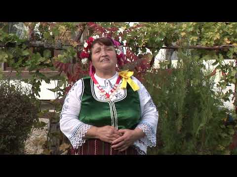 Видео: Димитричка Неделчева- Стояновата майчица