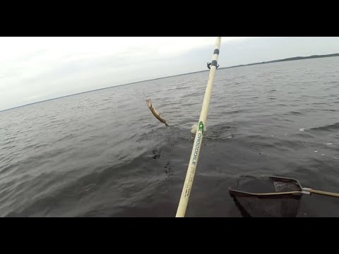 Видео: На Свирских берегах-4