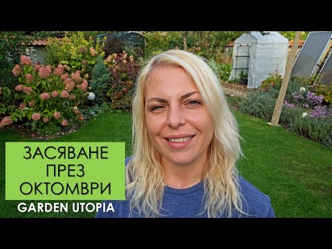 Видео: Какво ЗАСЯВАМ ПРЕЗ ОКТОМВРИ