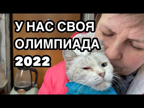 Видео: Спасение животных/ У кошки вирусный лейкоз/ Как с этим жить