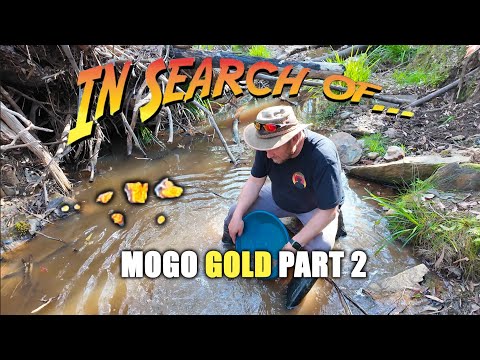 Видео: Поиск золота в Mogo, часть 2