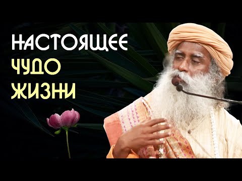 Видео: Настоящее чудо жизни - Садхгуру на Русском