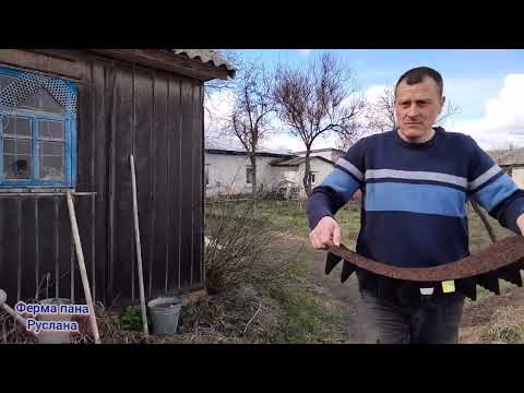 Видео: Висіваю кавуни 🍉 дині 🍈 огірки 🥒 кабачок.