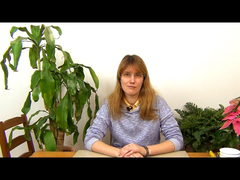 Видео: Драцена. Обрезка и размножение.