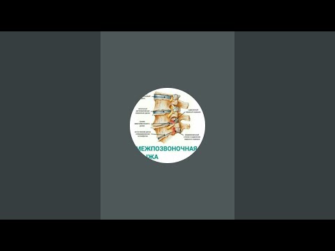Видео: ДИСК ГРЫЖА ДАВОЛАШ в прямом эфире!