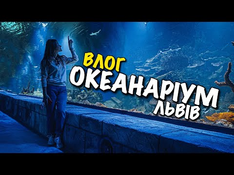 Видео: ОКЕАНАРІУМ ЛЬВІВ | АКУЛИ | СКАТИ | ТУНЕЛЬ ПІД АКВАРІУМОМ | OCEANARIUM LVIV | BABY SHARK | VLOG