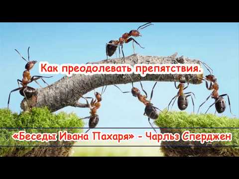 Видео: "Как преодолевать препятствия" -  - Чарльз Сперджен - Беседы Ивана Пахаря