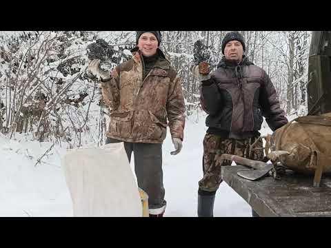 Видео: Как заработать в лесу зимой.